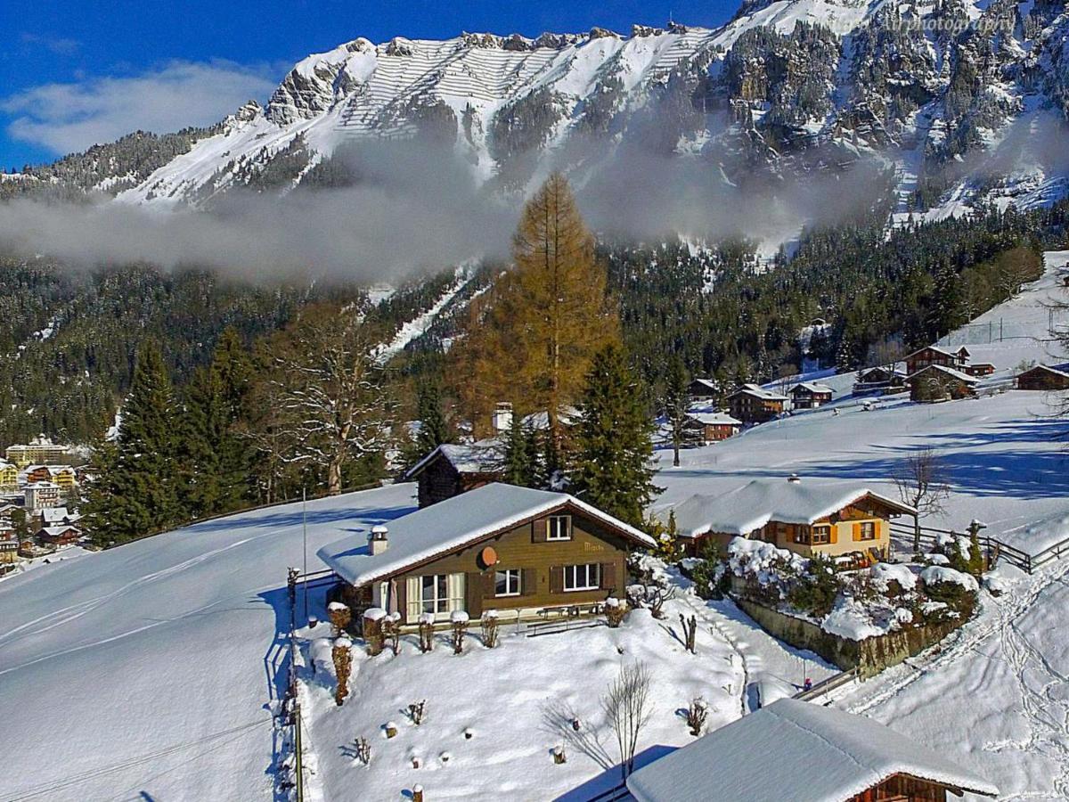 Chalet Zwaergli By Interhome Wengen Buitenkant foto