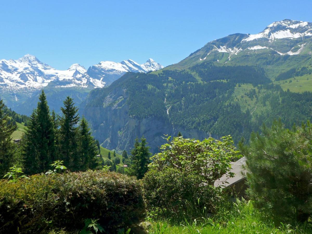 Chalet Zwaergli By Interhome Wengen Buitenkant foto