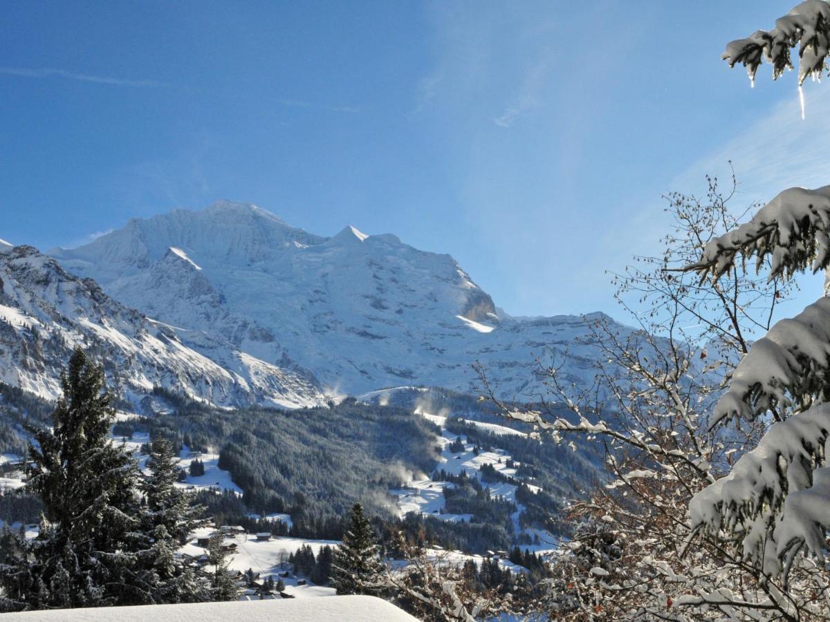 Chalet Zwaergli By Interhome Wengen Buitenkant foto